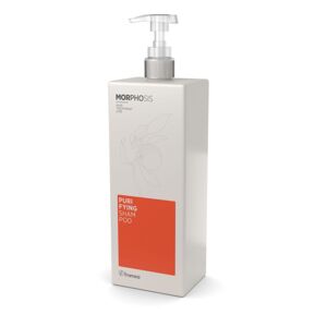 Framesi Morphosis Purifying Shampoo New 1000ml - Šampon proti lupům